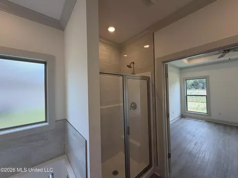 Bath - 146 Stapleton Dr, Canton, MS 39046 photo 2 of 4