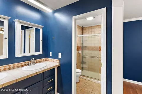 Bath - 44 Sunline Ct, Brandon, MS 39042 photo 2 of 3