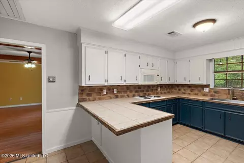 Other - 44 Sunline Ct, Brandon, MS 39042 photo 2 of 12