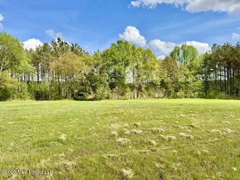 0035 Stump Bridge Rd, Canton, MS 39046 photo 11