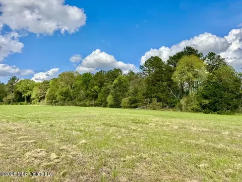 0035 Stump Bridge Rd, Canton, MS 39046 photo 9