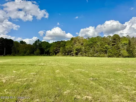 0035 Stump Bridge Rd, Canton, MS 39046 photo 13