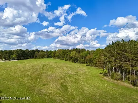0035 Stump Bridge Rd, Canton, MS 39046 photo 6