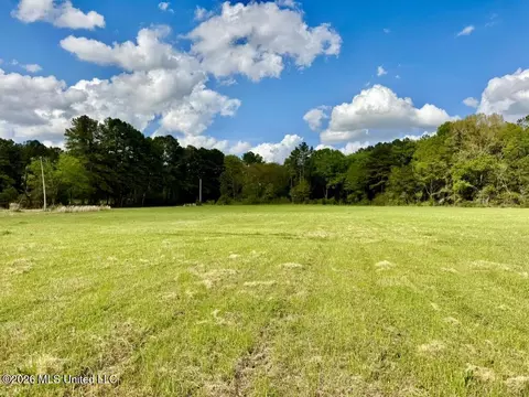 0035 Stump Bridge Rd, Canton, MS 39046 photo 12