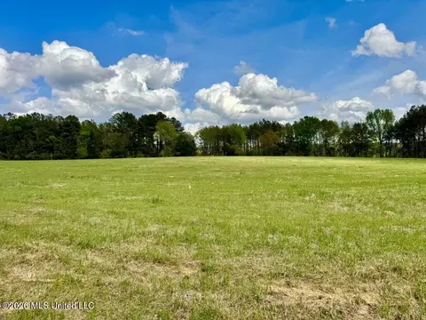 0035 Stump Bridge Rd, Canton, MS 39046 photo 2