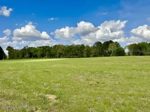 0035 Stump Bridge Rd, Canton, MS 39046 photo 15
