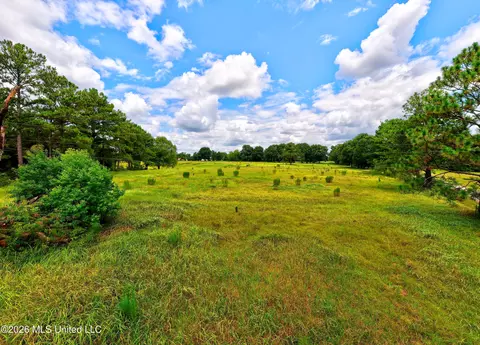 Donovan Road, Lucedale, MS 39452 photo 5