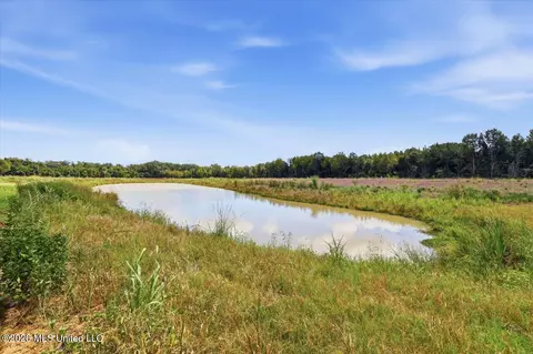 View/Area - 148 Stapleton Dr, Canton, MS 39046 photo 2 of 2