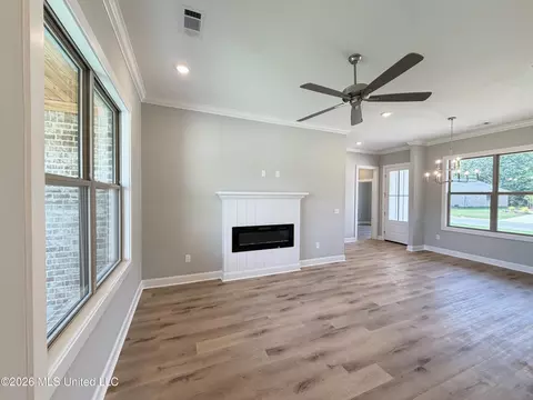 Living - 148 Stapleton Dr, Canton, MS 39046 photo 3 of 3