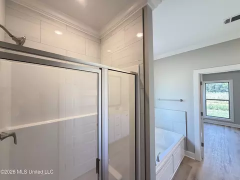 Bath - 148 Stapleton Dr, Canton, MS 39046 photo 3 of 5