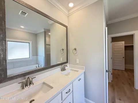 Bath - 148 Stapleton Dr, Canton, MS 39046 photo 1 of 5