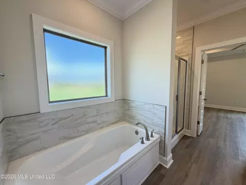 Bath - 144 Stapleton Dr, Canton, MS 39046 photo 3 of 7