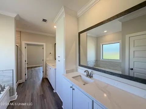 Bath - 144 Stapleton Dr, Canton, MS 39046 photo 5 of 7