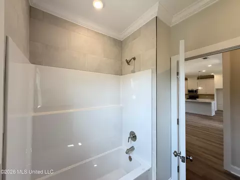 Bath - 144 Stapleton Dr, Canton, MS 39046 photo 7 of 7