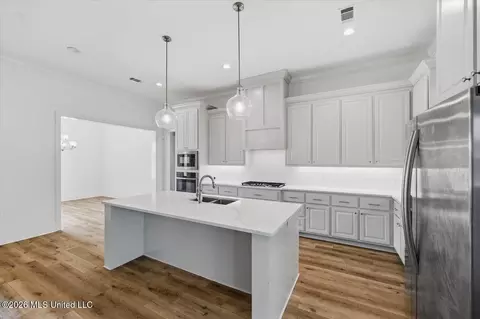 Entry Way - 615 Crossvine Rdg, Madison, MS 39110 photo 2 of 3