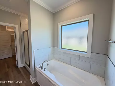 Bath - 140 Stapleton Dr, Canton, MS 39046 photo 2 of 4