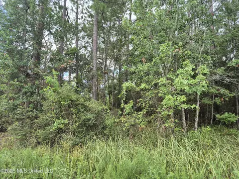 Onega Street, Bay Saint Louis, MS 39520