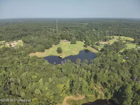 View/Area - 5267 Tank Rd, Terry, MS 39170 photo 4 of 6