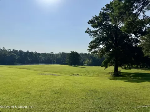 Other - 5267 Tank Rd, Terry, MS 39170 photo 4 of 10