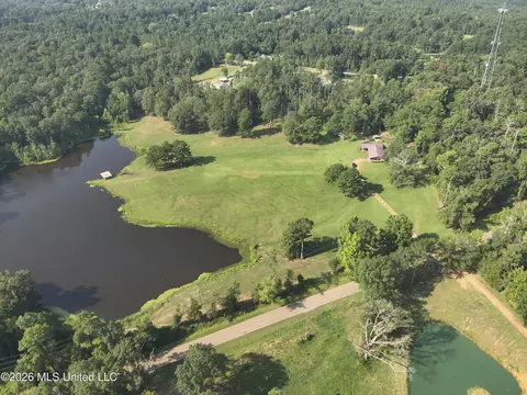 View/Area - 5267 Tank Rd, Terry, MS 39170 photo 3 of 6