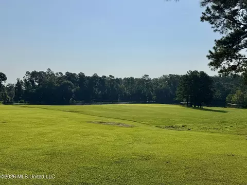 View/Area - 5267 Tank Rd, Terry, MS 39170 photo 6 of 6