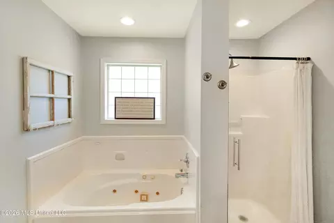Bath - 201 Edgewater Branch Dr, Brandon, MS 39042 photo 1 of 3