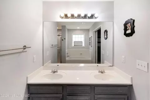 Bath - 201 Edgewater Branch Dr, Brandon, MS 39042 photo 2 of 3