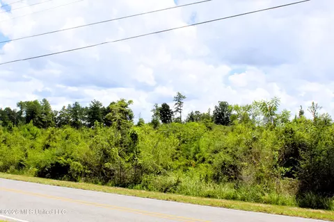 6 4 Acres Beaver Dam Rd, Lucedale, MS 39452 photo 5