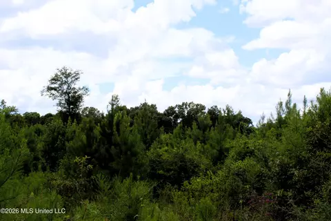 6 4 Acres Beaver Dam Rd, Lucedale, MS 39452 photo 4