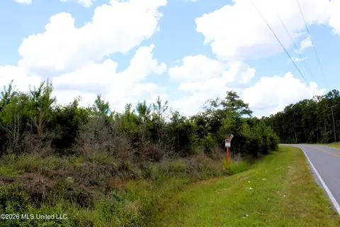 6 4 Acres Beaver Dam Rd, Lucedale, MS 39452 photo 2