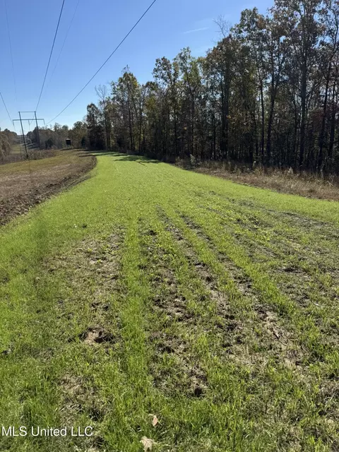 1973 Ms-178, Myrtle, MS 38650 photo 84