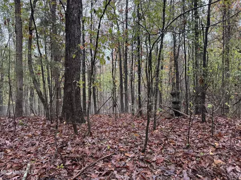 1973 Ms-178, Myrtle, MS 38650 photo 81
