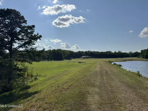 1973 Ms-178, Myrtle, MS 38650 photo 30