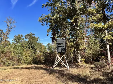 1973 Ms-178, Myrtle, MS 38650 photo 54