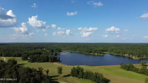 1973 Ms-178, Myrtle, MS 38650 photo 118