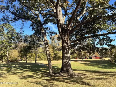 1973 Ms-178, Myrtle, MS 38650 photo 45