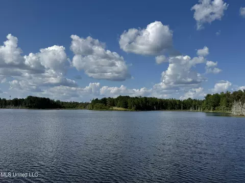 1973 Ms-178, Myrtle, MS 38650 photo 25