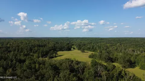 1973 Ms-178, Myrtle, MS 38650 photo 124