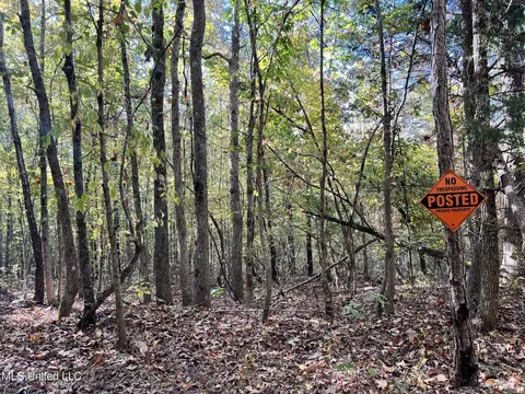 1973 Ms-178, Myrtle, MS 38650 photo 69