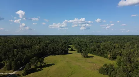 1973 Ms-178, Myrtle, MS 38650 photo 125