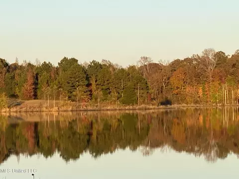 1973 Ms-178, Myrtle, MS 38650 photo 60