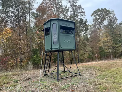 1973 Ms-178, Myrtle, MS 38650 photo 58