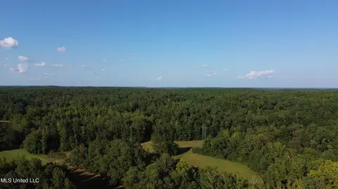 1973 Ms-178, Myrtle, MS 38650 photo 136