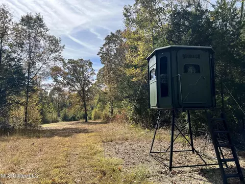 1973 Ms-178, Myrtle, MS 38650 photo 57