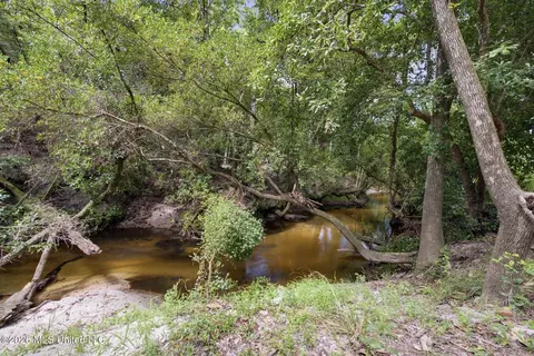 Other - 235 Roy Fairley Dr, Lucedale, MS 39452 photo 4 of 12