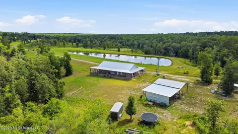 Other - 235 Roy Fairley Dr, Lucedale, MS 39452 photo 9 of 12