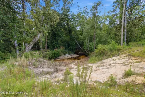 Other - 235 Roy Fairley Dr, Lucedale, MS 39452 photo 7 of 12