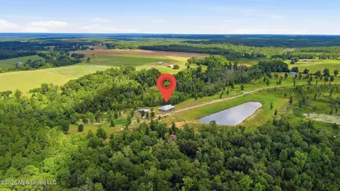 Other - 235 Roy Fairley Dr, Lucedale, MS 39452 photo 11 of 12