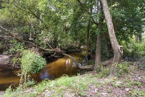 Other - 235 Roy Fairley Dr, Lucedale, MS 39452 photo 5 of 12