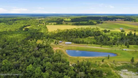 View/Area - 235 Roy Fairley Dr, Lucedale, MS 39452 photo 5 of 6